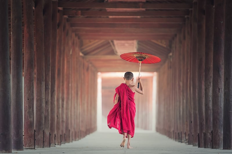 Sun Style Tai Chi